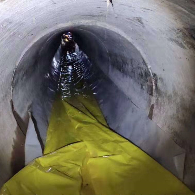 阳新管道光固化修复